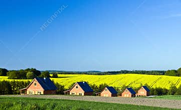Country houses landscape