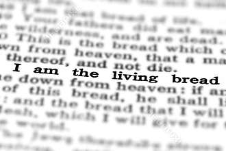 New Testament Scripture Quote Living Bread