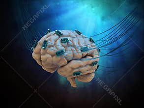 Connected brain