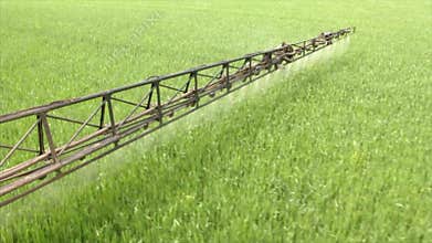 The sprayer sprays young wheat