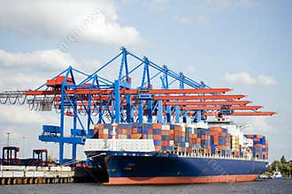 Container ship in port