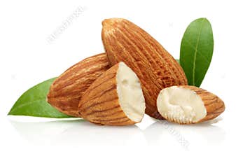 Almond