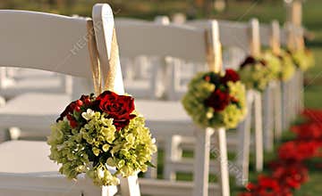 Wedding Chairs