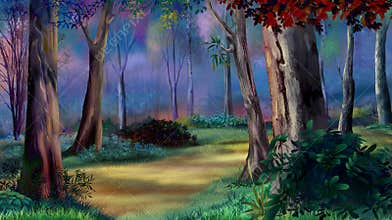 Magic forest on sunset