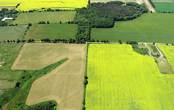 Aerial photo of Farmland