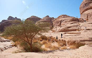 Canyon in archaeological site Madain Saleh Saudi Arabia