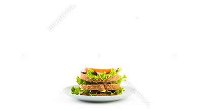 Making an sandwich