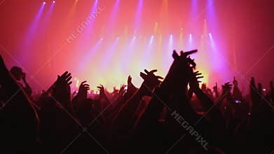 Lot of people clapping at rave party