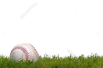 Baseball in the grass