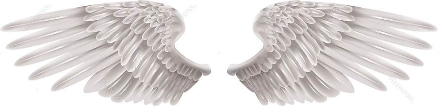 White Wings