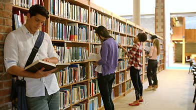 Students working together in the library