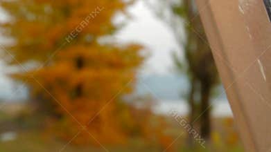 Female Artist Creating A Picture of Autumn