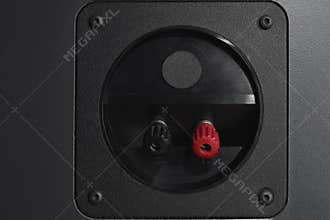 Back audio input for hi-fi monitor speaker