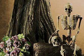 Still life with skull, love story set