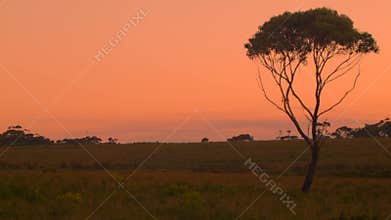 Australian Sunset Landscape Establishing Shot
