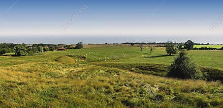 Farm