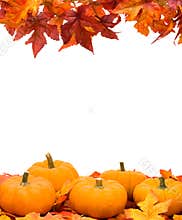 Fall Harvest Frame