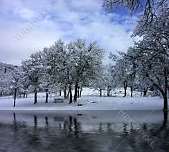 A Winter Park Scene