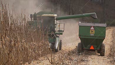 Scenes of harvesting corn