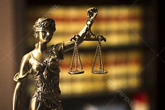 Old legal books Spanish law reports library Spain