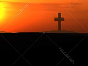 The Cross 9