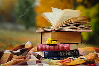 Romantic autumn still life