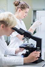 Microscopic examination of sample