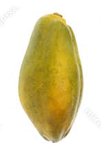 Papaya Isolated