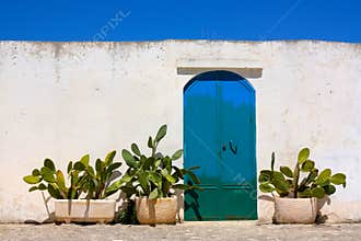 Blue door and cactus in Apulia, Italy