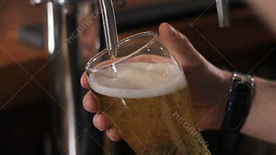 Bartender pouring glass of draft beer. Close up