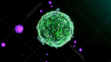 Mast cell