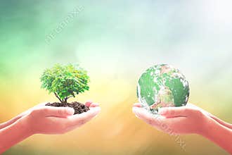 Earth Globe And Tree In Human Hands Ecology Responsibility Concept