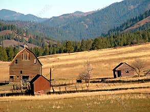 Tilting Barns