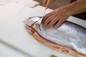 Knife cuts raw fish.