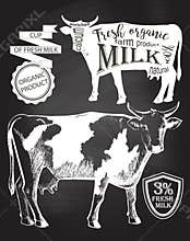 Cow blackboard