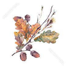 Watercolor autumn vintage bouquet