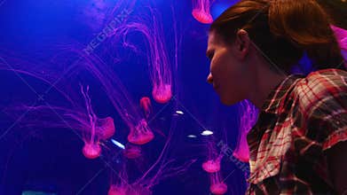 Red Fluorescent Jellyfish