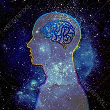 Human Brain and Universe