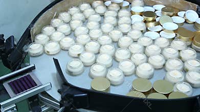 The cosmetics factory