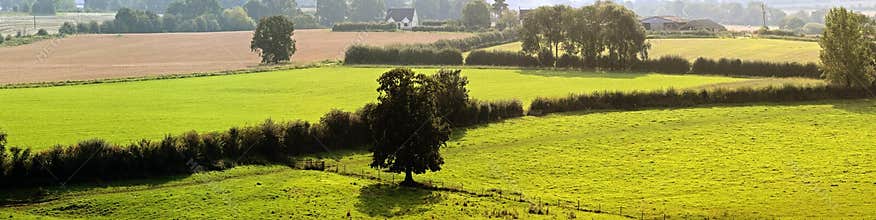 Farm