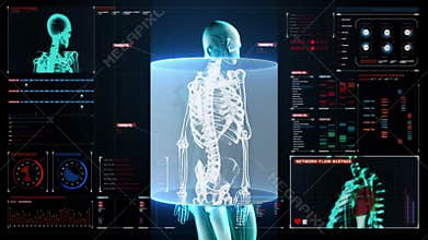 Zooming Human skeletal structure, bone system, Blue X-ray light.in digital dashboard, display panel.