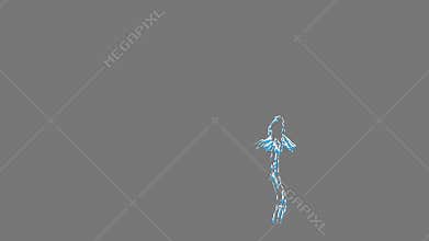 Abstract Pack. 14 different hand drawn animations pre-rendered with alpha channel in a QuickTime(PNG) with 4K resolution