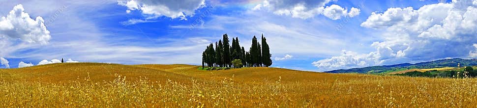 Tuscany landscape