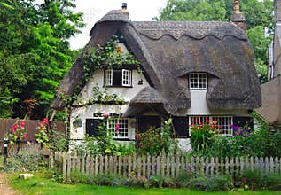 Thatched cottage with white walls and colourful garden.