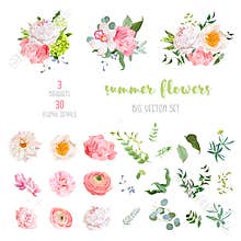 Ranunculus, rose, peony, dahlia, camellia, carnation, orchid, hydrangea flowers and decorative plants big vector collection
