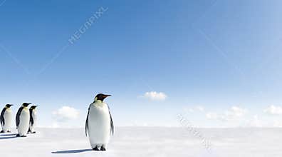 Emperor Penguins in Antarctica