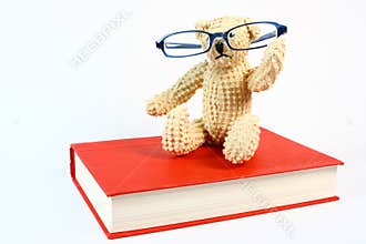 Bear on Book