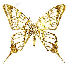 Butterfly multicolor logo