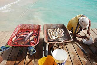 Fisherman at Santa Maria - Sal Island - Cape Verde