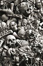 Skulls and bones for halloween